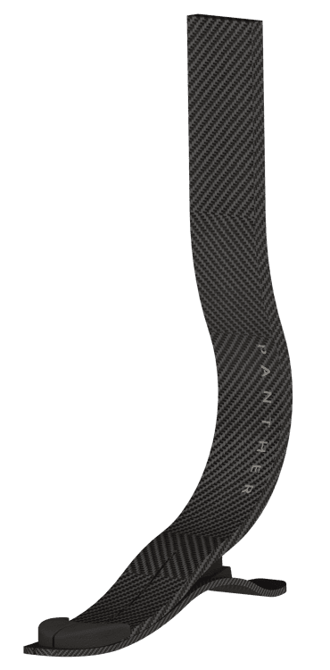 Prosthetic feet